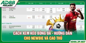 Cách Xem Kèo Bóng Đá - Hướng Dẫn Cho Newbie Và Cao Thủ