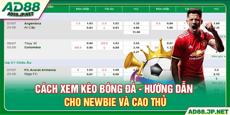 Cách Xem Kèo Bóng Đá - Hướng Dẫn Cho Newbie Và Cao Thủ