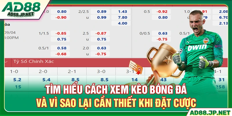 Tìm hiểu cách xem kèo bóng đá và vì sao lại cần thiết khi đặt cược